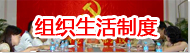 组织生活制度